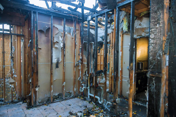 Professional Smoke Damage Removal technician working in Zellwood, FL
